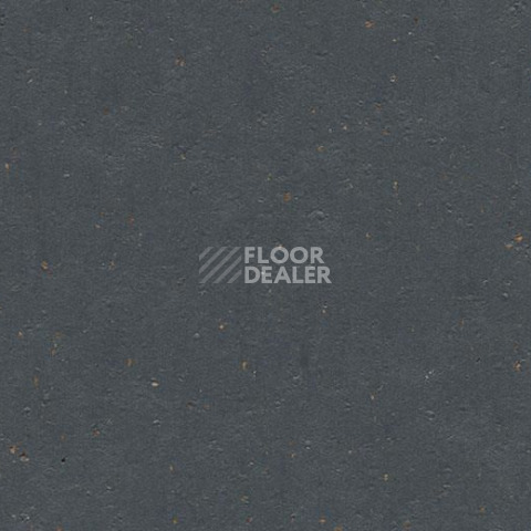 Линолеум Forbo Marmoleum Decibel on Order 358335 chocolate blues фото 1 | FLOORDEALER